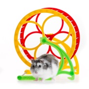 Hamster wheel